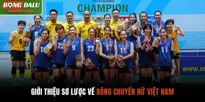 Giới thiệu sơ lược về bóng chuyền nữ Việt Nam
