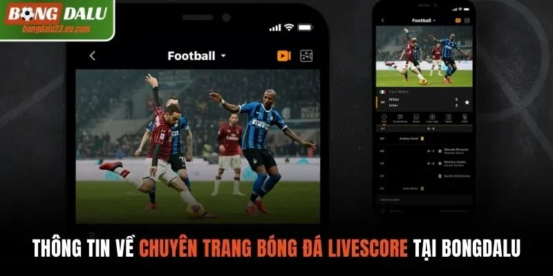 Thông tin về chuyên trang bóng đá Livescore tại Bongdalu