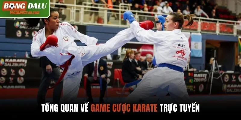 Tổng quan về game cược Karate trực tuyến