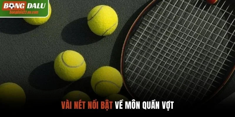 Vài nét nổi bật về môn quần vợt