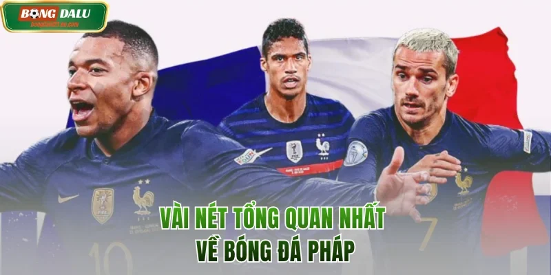 Vài nét tổng quan nhất về bóng đá Pháp